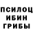 Псилоцибиновые грибы прущие грибы Lady Libra