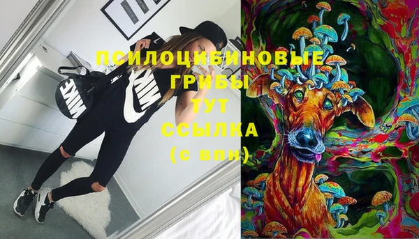 ALPHA-PVP Кинешма