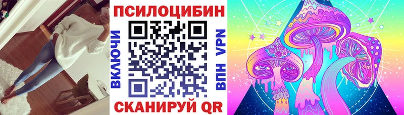 KRAKEN как зайти  Колпашево  Псилоцибиновые грибы MAGIC MUSHROOMS  купить наркотик 